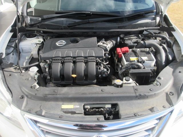 Sylphy
