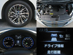 ELGRAND  4WD
