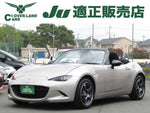 ROADSTER