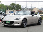 ROADSTER