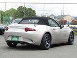 ROADSTER