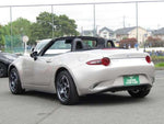 ROADSTER