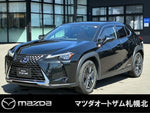 LEXUS UX250h AWD
