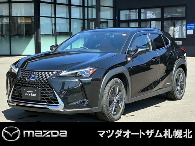LEXUS UX250h AWD
