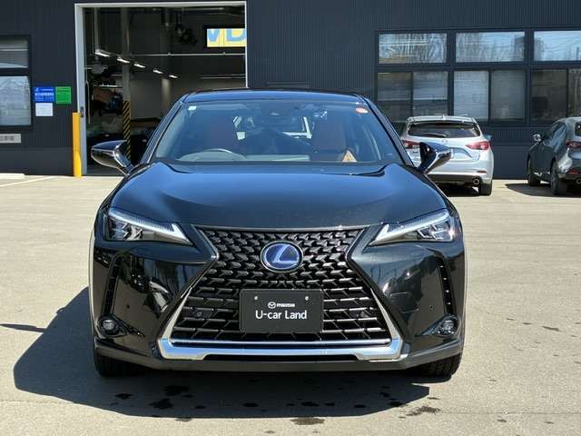 LEXUS UX250h AWD