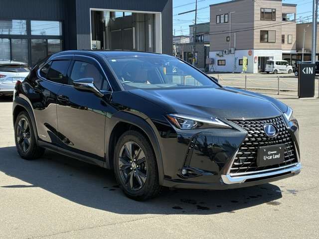 LEXUS UX250h AWD