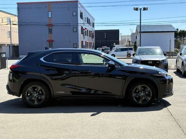 LEXUS UX250h AWD