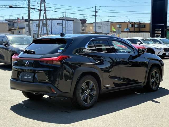 LEXUS UX250h AWD