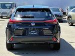 LEXUS UX250h AWD
