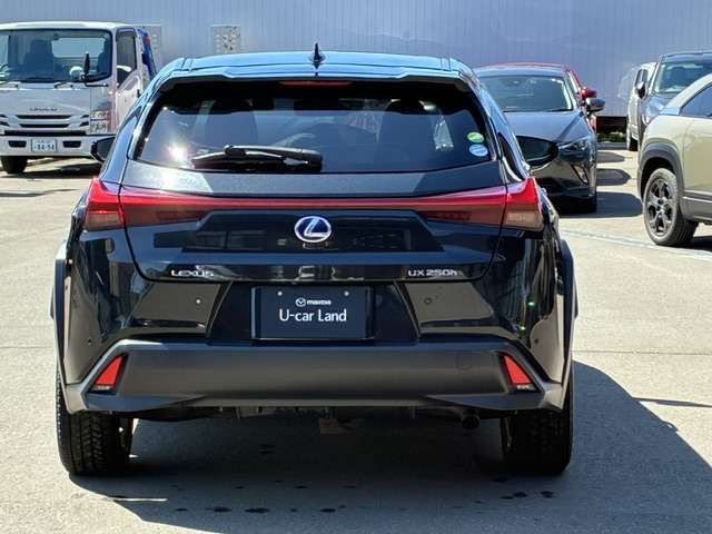LEXUS UX250h AWD