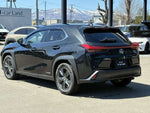 LEXUS UX250h AWD