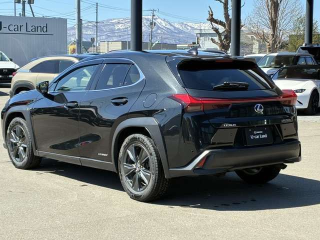 LEXUS UX250h AWD