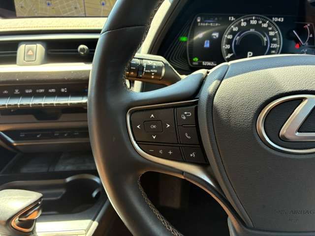 LEXUS UX250h AWD