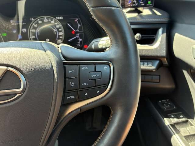 LEXUS UX250h AWD