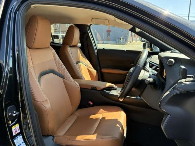 LEXUS UX250h AWD