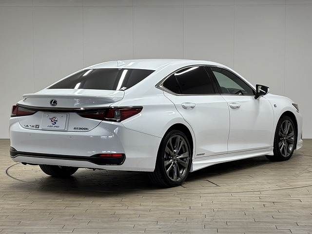 LEXUS ES300h