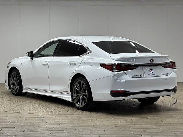 LEXUS ES300h