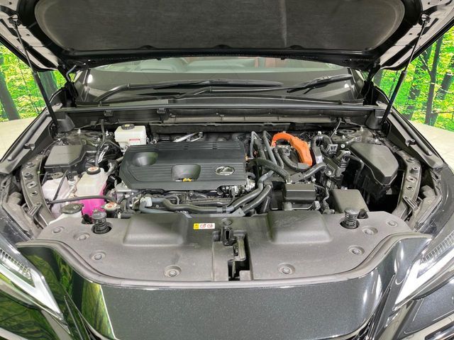 LEXUS NX350h AWD