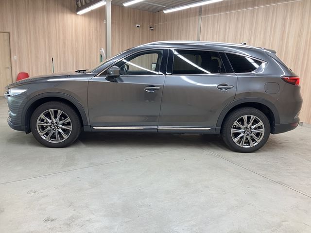 CX-8