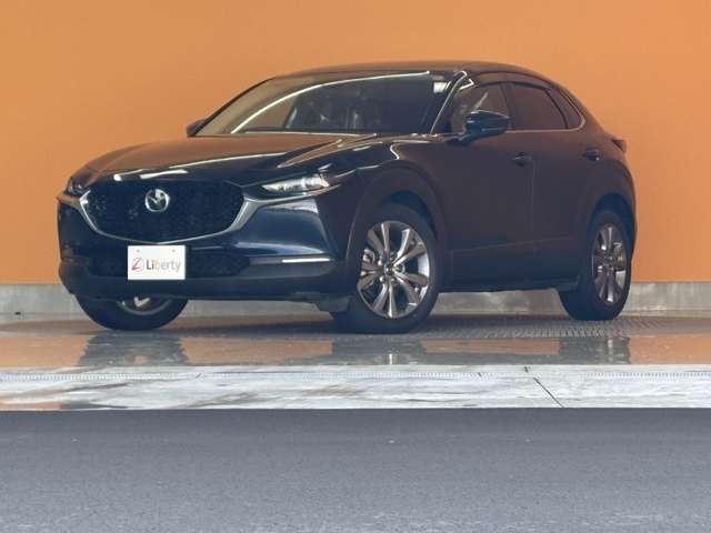 CX-30
