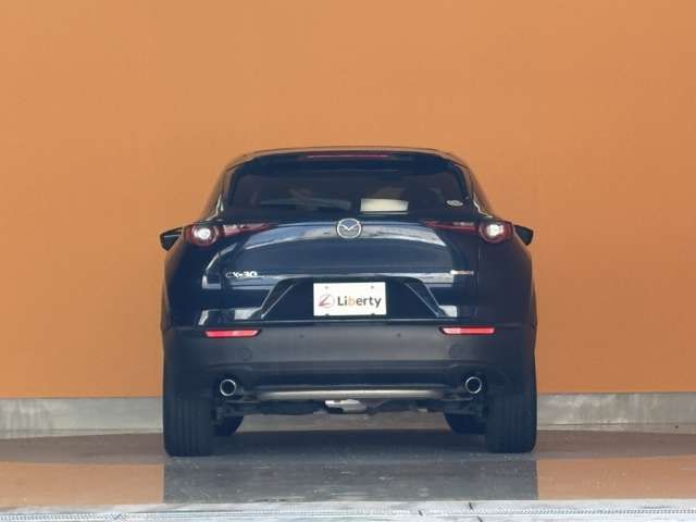 CX-30