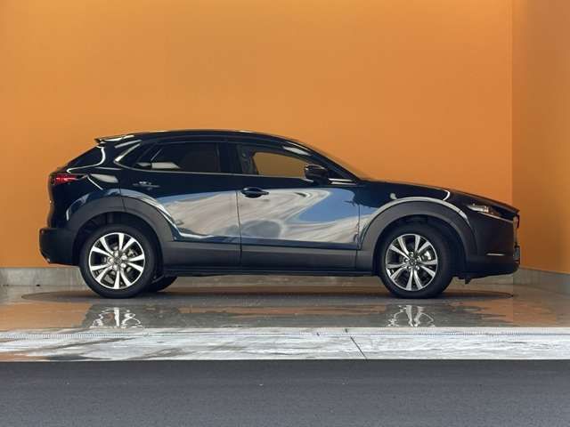 CX-30