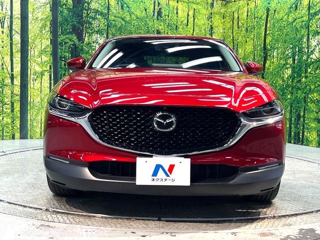 CX-30