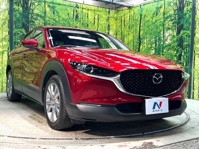 CX-30