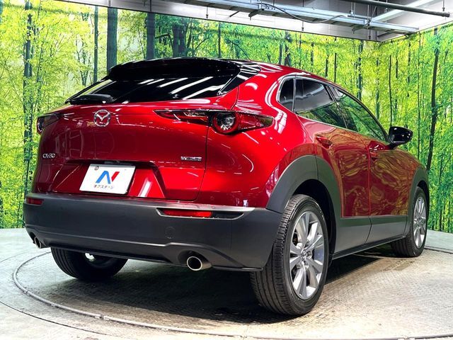 CX-30