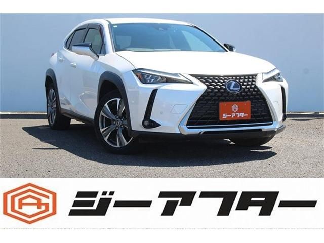 LEXUS UX300e