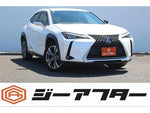 LEXUS UX300e