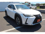 LEXUS UX300e