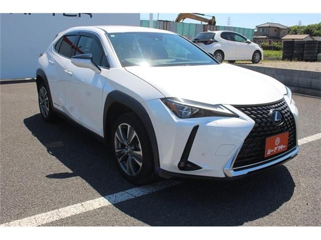 LEXUS UX300e