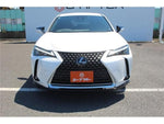 LEXUS UX300e