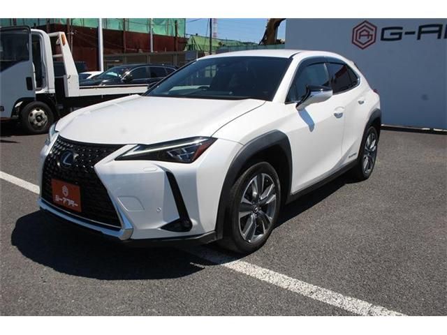 LEXUS UX300e