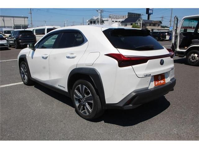 LEXUS UX300e