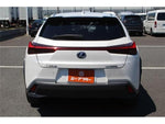 LEXUS UX300e