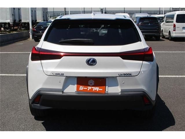 LEXUS UX300e
