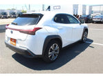 LEXUS UX300e