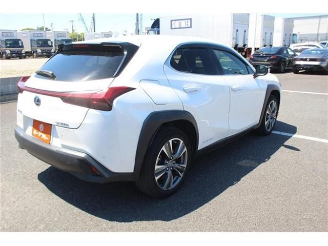 LEXUS UX300e