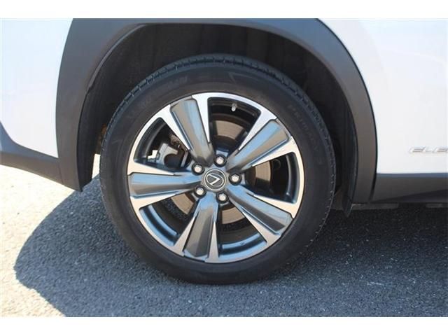 LEXUS UX300e