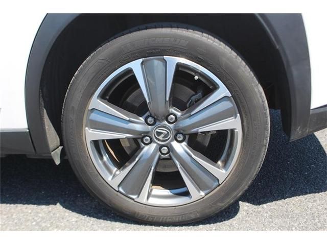 LEXUS UX300e