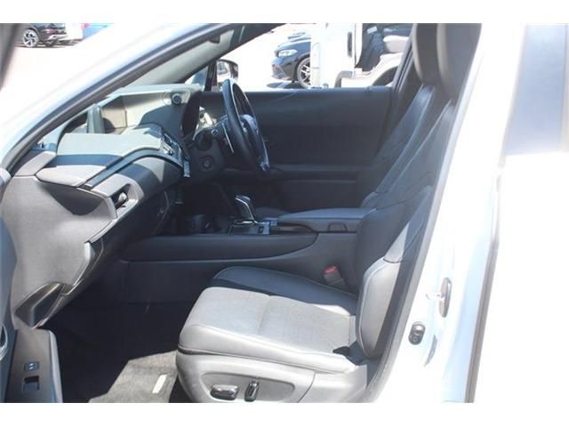LEXUS UX300e