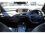 LEXUS UX300e
