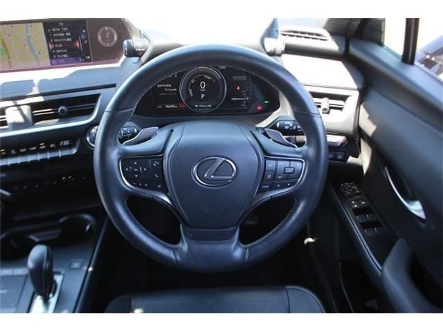 LEXUS UX300e