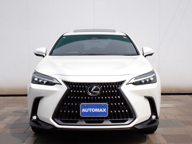 LEXUS NX350h AWD