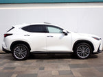 LEXUS NX350h AWD
