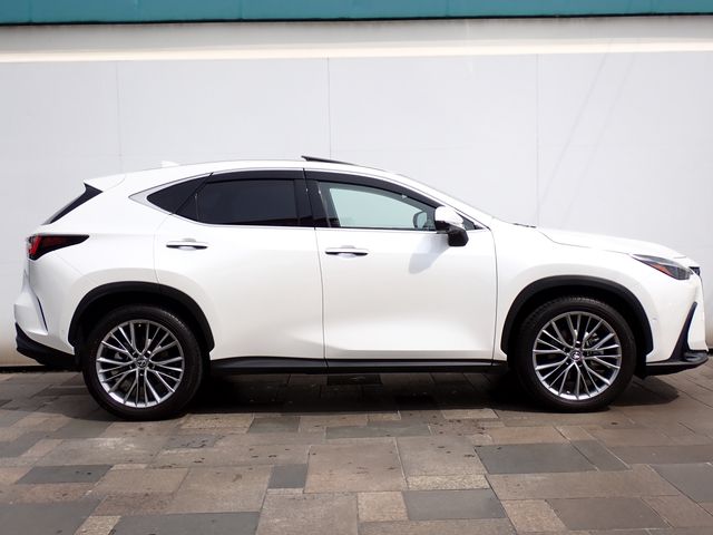 LEXUS NX350h AWD