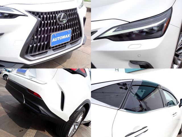 LEXUS NX350h AWD