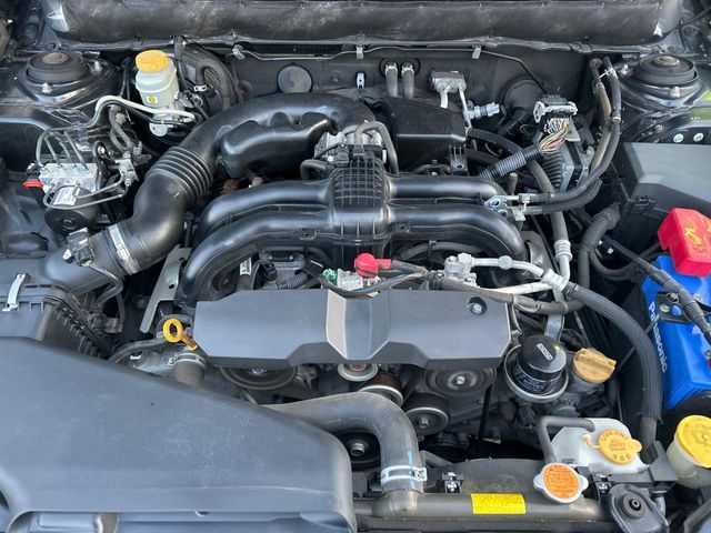 LEGACY OUTBACK